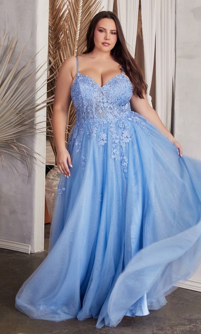 plus size formal evening gown